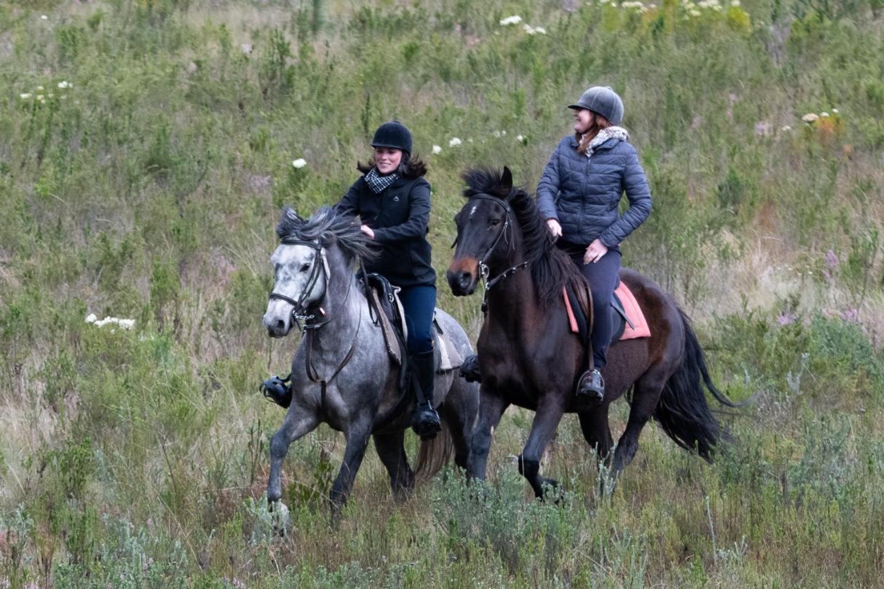 Willa Oudebosch Guest Farm Riversdale Zewnętrze zdjęcie